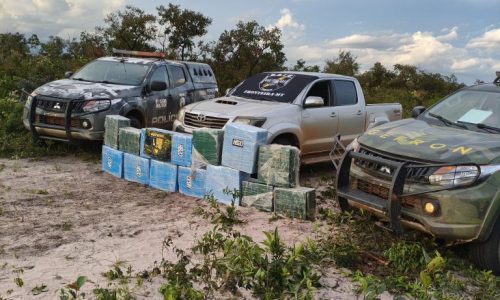 Operação integrada apreende quase meia tonelada de drogas na fronteira de MT