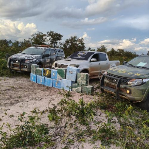 Operação integrada apreende quase meia tonelada de drogas na fronteira de MT