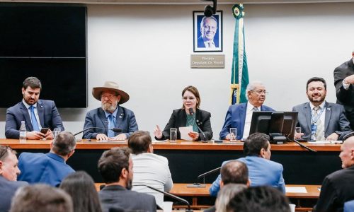 Coronel Fernanda lidera bancada federal de MT em reunião com prefeitos durante Marcha dos Municípios