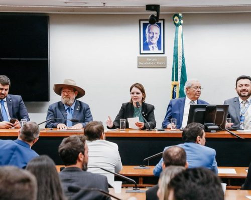Coronel Fernanda lidera bancada federal de MT em reunião com prefeitos durante Marcha dos Municípios