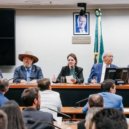 Coronel Fernanda lidera bancada federal de MT em reunião com prefeitos durante Marcha dos Municípios