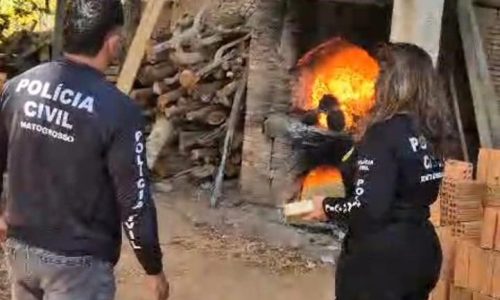 INCENERAÇÃO DROGAS