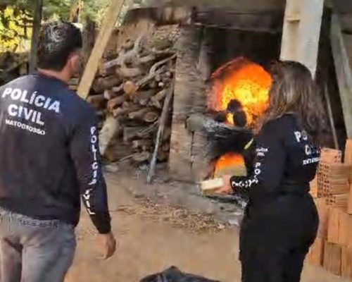 INCENERAÇÃO DROGAS
