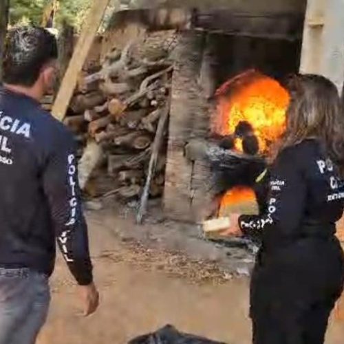 INCENERAÇÃO DROGAS