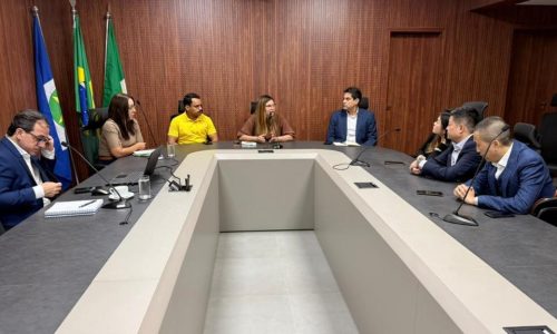 Gigante chinês mira Mato Grosso para transformar lixo em energia e ampliar investimentos sustentáveis