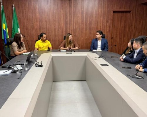 Gigante chinês mira Mato Grosso para transformar lixo em energia e ampliar investimentos sustentáveis