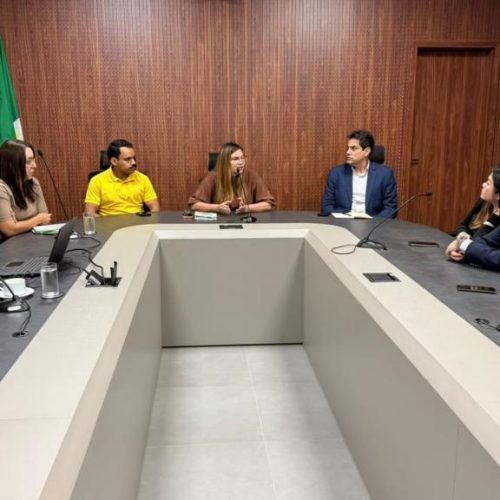 Gigante chinês mira Mato Grosso para transformar lixo em energia e ampliar investimentos sustentáveis