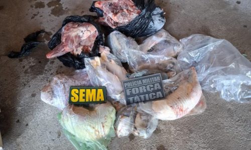 Operação flagra freezeres cheios de peixe ilegal e carne de caça; multas passam de R$ 53 mil em MT