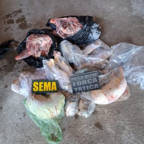 Operação flagra freezeres cheios de peixe ilegal e carne de caça; multas passam de R$ 53 mil em MT