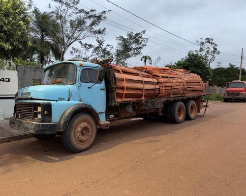 Defron intercepta carga de 1.284 toras de aroeira e prende quatro suspeitos