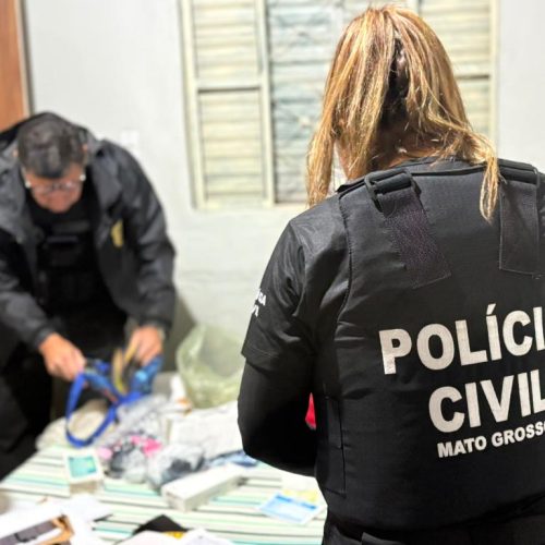 Operação Falso Elo mira esquema de fraudes em vendas de veículos pela internet