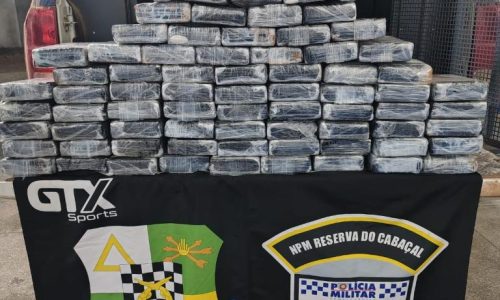Avião com carga de cocaína é encontrado após dois meses da queda em MT; dois corpos são localizados entre destroços