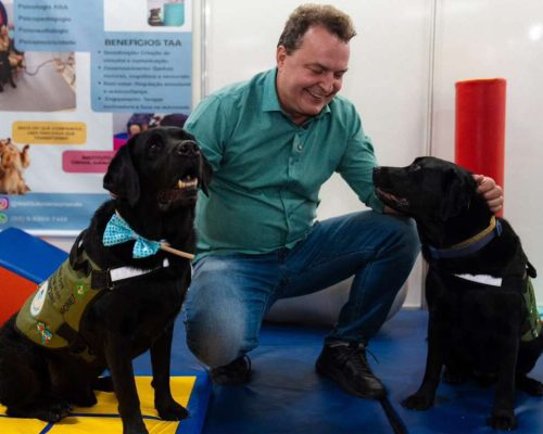 Max propõe criação de censo para mapear população de cães e gatos em MT