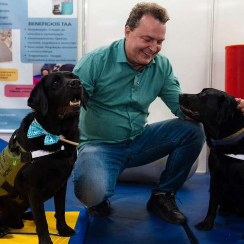 Max propõe criação de censo para mapear população de cães e gatos em MT