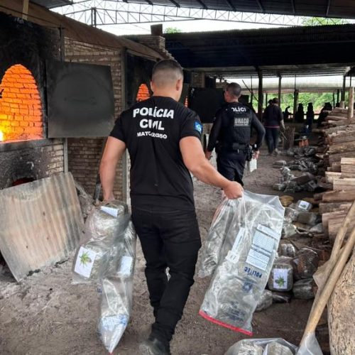 Polícia Civil incinera 4,4 toneladas de drogas em Cáceres em 2026