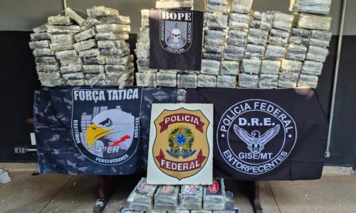 CARGA MILIONÁRIA DE COCAÍNA É INTERCEPTADA EM MT E CAUSA PREJUÍZO DE R$ 15 MILHÕES AO CRIME