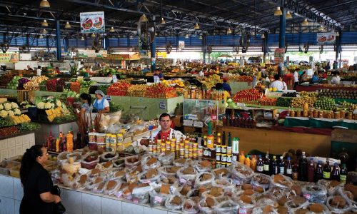 Música, arte e tradição movimentam Mercado do Porto nesta terça-feira