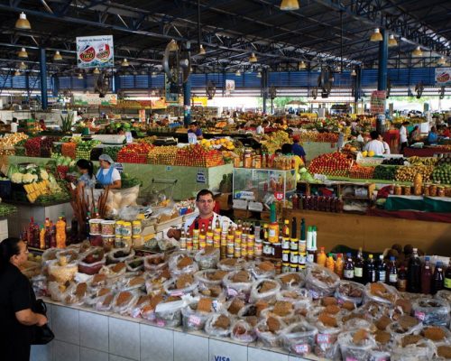 Música, arte e tradição movimentam Mercado do Porto nesta terça-feira