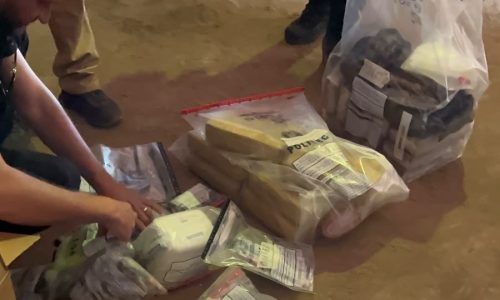 Polícia Civil incinera 25 quilos de drogas apreendidas e reforça combate ao tráfico no sudoeste de Mato Grosso