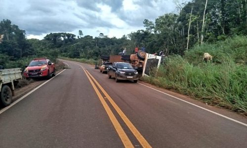 Bombeiros resgatam gado preso em carreta tombada e operação dura cinco horas em rodovia de MT