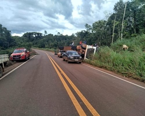 Bombeiros resgatam gado preso em carreta tombada e operação dura cinco horas em rodovia de MT
