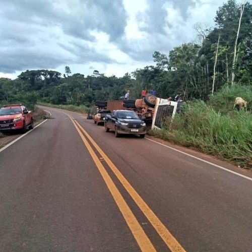 Bombeiros resgatam gado preso em carreta tombada e operação dura cinco horas em rodovia de MT