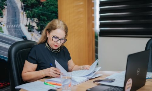 Portal TEA avança na Câmara de Cuiabá e promete centralizar serviços e informações para pessoas com autismo