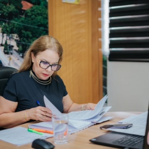 Portal TEA avança na Câmara de Cuiabá e promete centralizar serviços e informações para pessoas com autismo