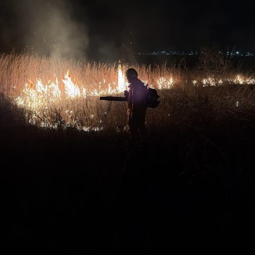 Fogo ameaça carreta e mobiliza Bombeiros em dois incêndios de vegetação em Campo Verde