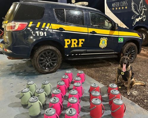 Cão farejador da PRF descobre drogas escondidas em garrafas térmicas na BR-364