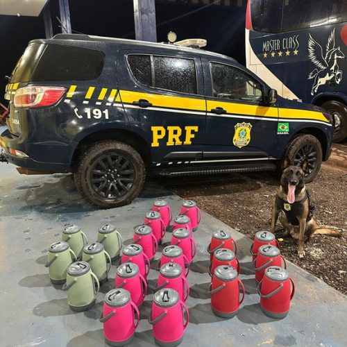 Cão farejador da PRF descobre drogas escondidas em garrafas térmicas na BR-364