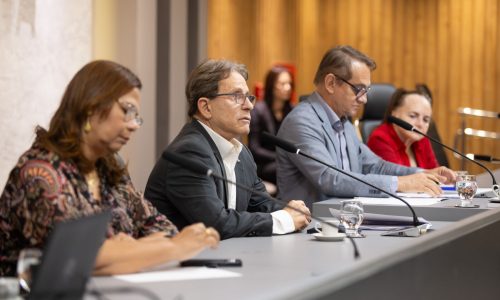 Prestação de contas do Detran-MT gera debate sobre terceirizações e concurso público na ALMT