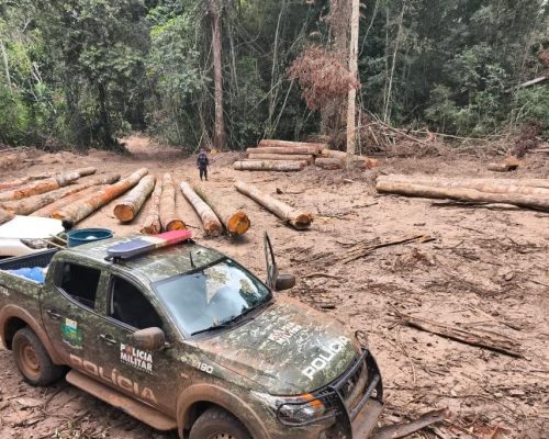 Polícia Ambiental apreende 174 m³ de madeira ilegal durante operação em Marcelândia