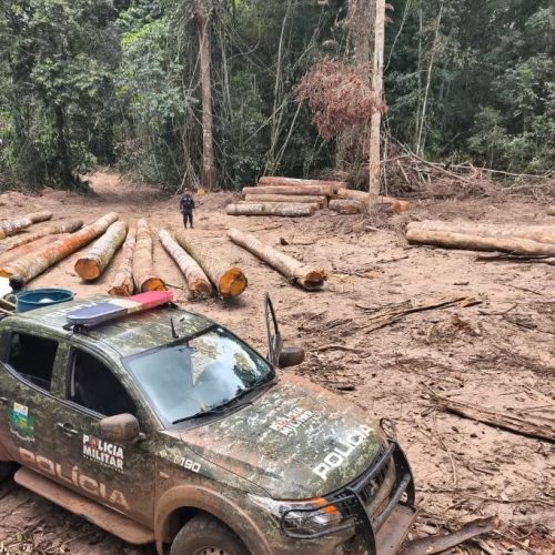 Polícia Ambiental apreende 174 m³ de madeira ilegal durante operação em Marcelândia