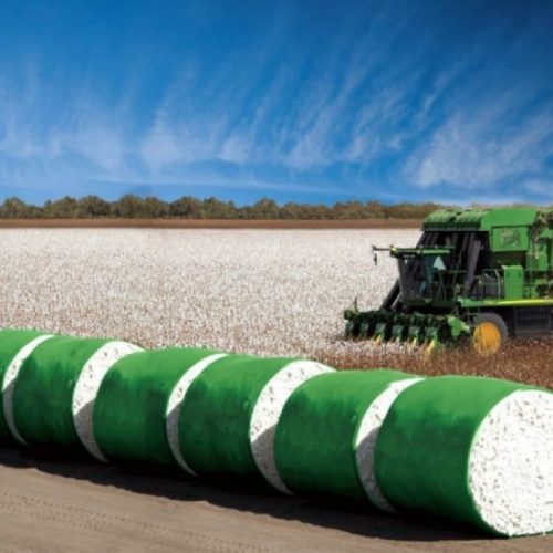 Queda no preço do algodão contrasta com expansão da área plantada no Brasil