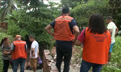 Período chuvoso eleva risco de queda de árvores e Defesa Civil orienta população em Mato Grosso