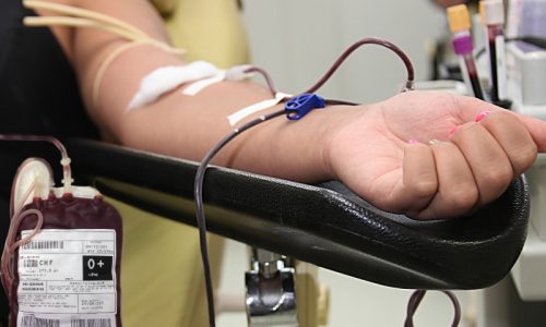 MT Hemocentro abre as portas no sábado para reforçar estoques e homenagear doadores de sangue