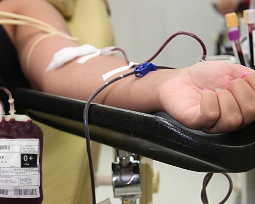 MT Hemocentro abre as portas no sábado para reforçar estoques e homenagear doadores de sangue