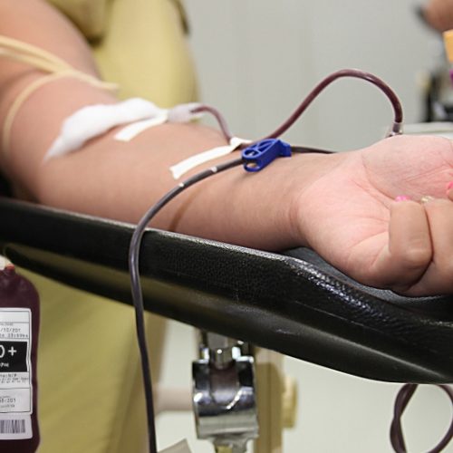 MT Hemocentro abre as portas no sábado para reforçar estoques e homenagear doadores de sangue