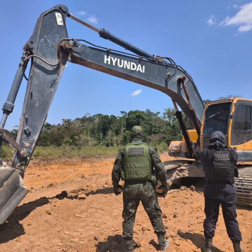 Garimpo ilegal é desativado e arma de fogo é apreendida durante operação em Novo Mundo