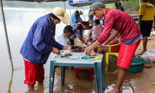 45ª Festa de São Pedro mobiliza Bonsucesso e deve atrair mais de 10 mil pessoas em celebração da fé e da cultura ribeirinha