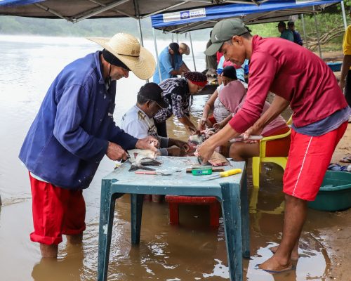 45ª Festa de São Pedro mobiliza Bonsucesso e deve atrair mais de 10 mil pessoas em celebração da fé e da cultura ribeirinha