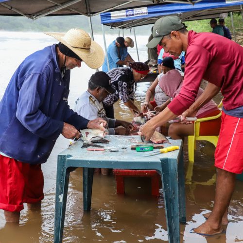 45ª Festa de São Pedro mobiliza Bonsucesso e deve atrair mais de 10 mil pessoas em celebração da fé e da cultura ribeirinha