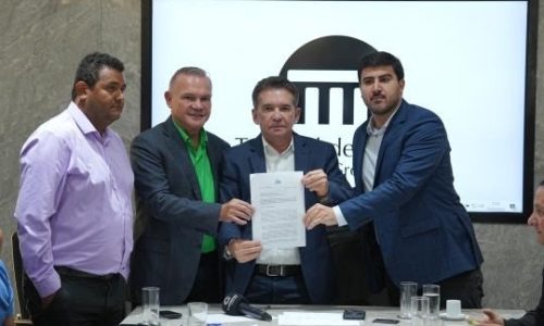 REUNIÃO NO TCE MUDA O TOM DO DEBATE SOBRE A MT-170: pressão dos vereadores ganha apoio de Wellington, expõe alerta técnico e provoca reação dura de Mauro Mendes