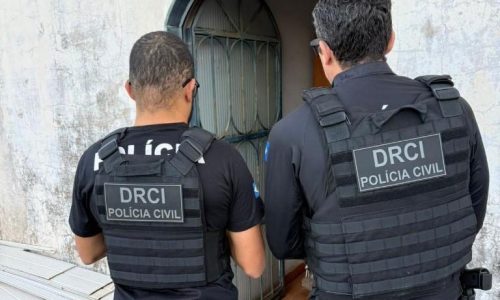 Operação da Polícia Civil mira crimes de pornografia infantil e encontra material nazista com investigado