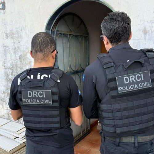 Operação da Polícia Civil mira crimes de pornografia infantil e encontra material nazista com investigado