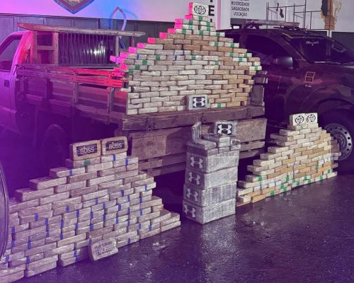 Gefron apreende 340 tabletes de drogas e causa prejuízo de R$ 6,4 milhões às facções