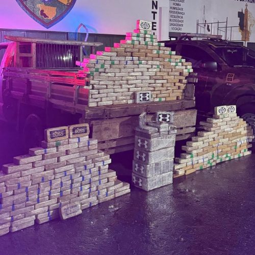 Gefron apreende 340 tabletes de drogas e causa prejuízo de R$ 6,4 milhões às facções