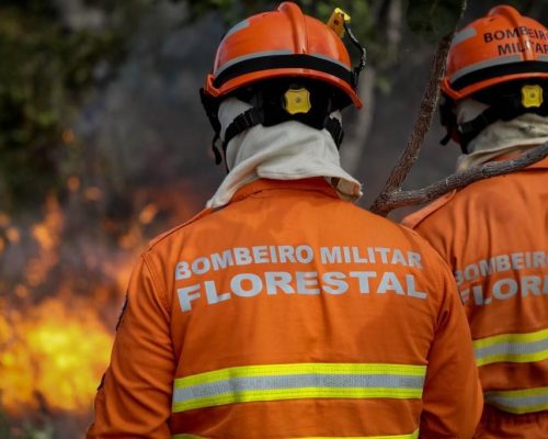 Corpo de Bombeiros abre inscrições para o 7° Curso de Prevenção e Combate a Incêndios Florestais