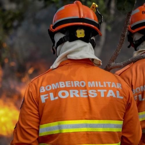 Corpo de Bombeiros abre inscrições para o 7° Curso de Prevenção e Combate a Incêndios Florestais